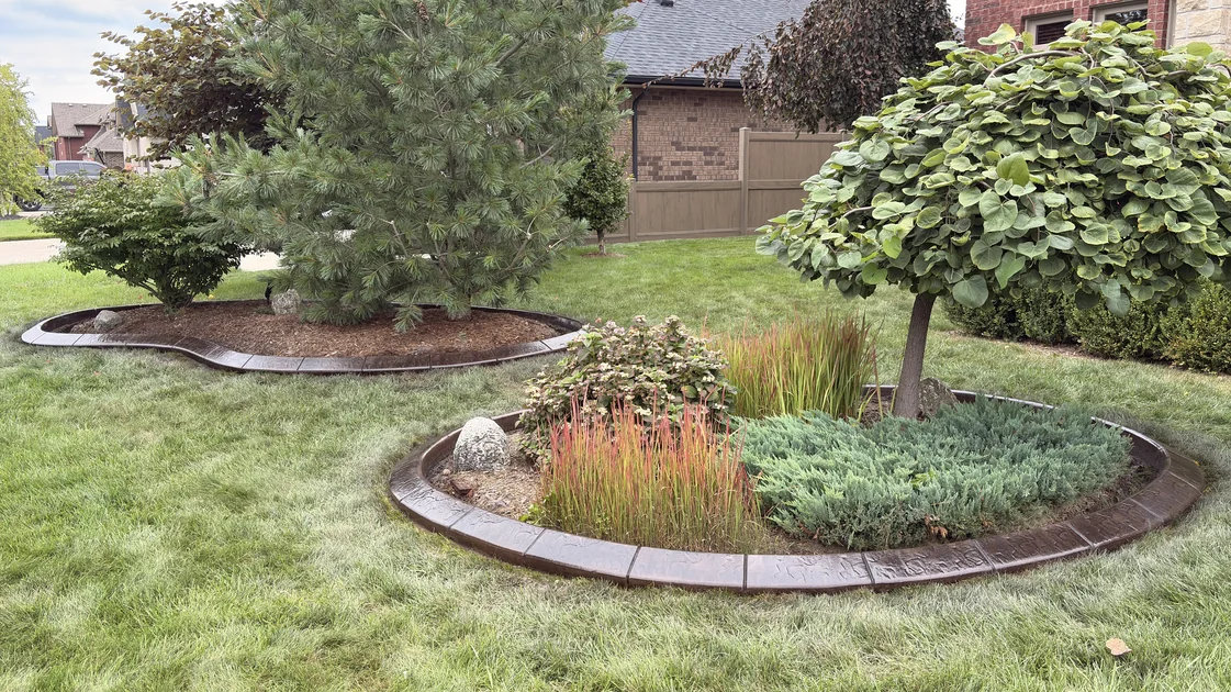 Two brown stamped concrete curbing islands with ornamental grasses, juniper and young ornamental trees in a tidy front lawn.