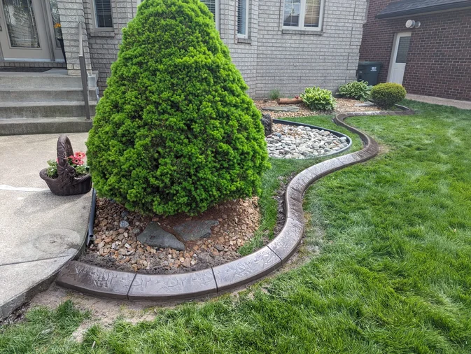 Rich brown slate-stamped concrete curb bordering a front yard topiary evergreen and a river-rock mulch bed at a Windsor-area home.
