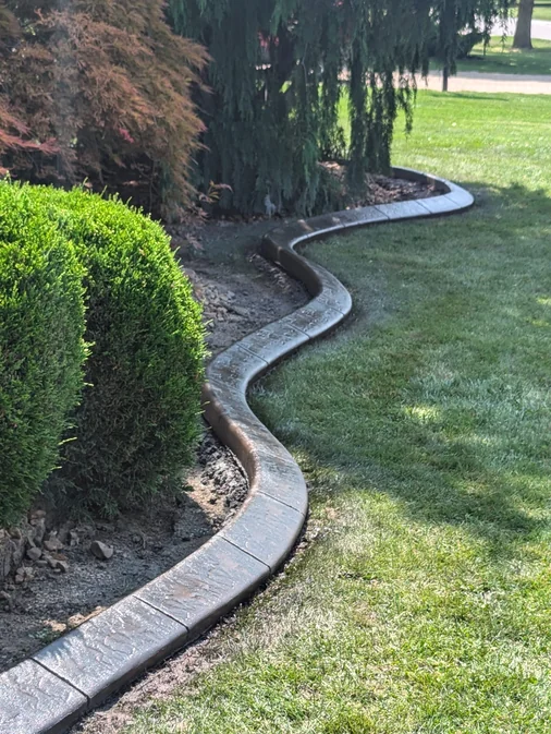 Textured brown stamped concrete curb winding between a lawn and a mulched garden bed with conifers and a Japanese maple.