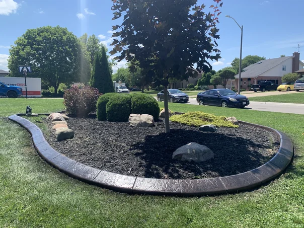 Cocoa-brown stamped concrete curb around a teardrop-shaped mulch bed with a maple tree on a residential corner lot.